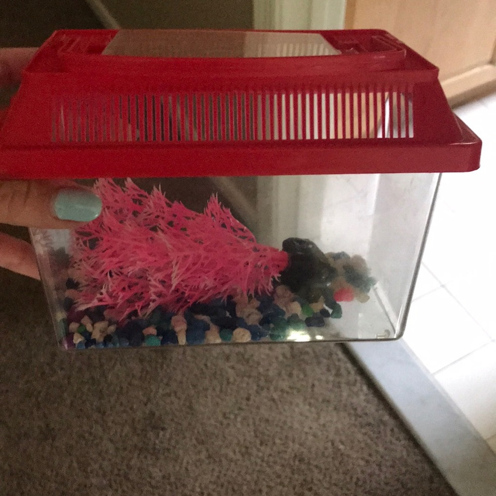 Fish Tank